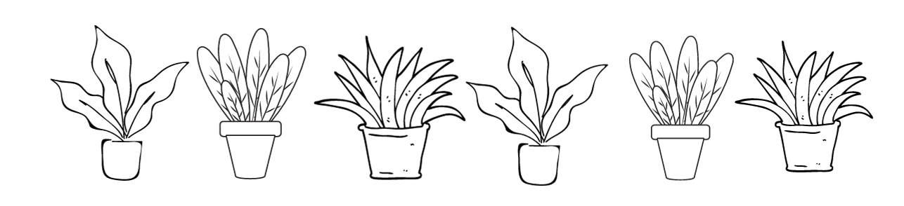 איורי צמחים שחור לבן