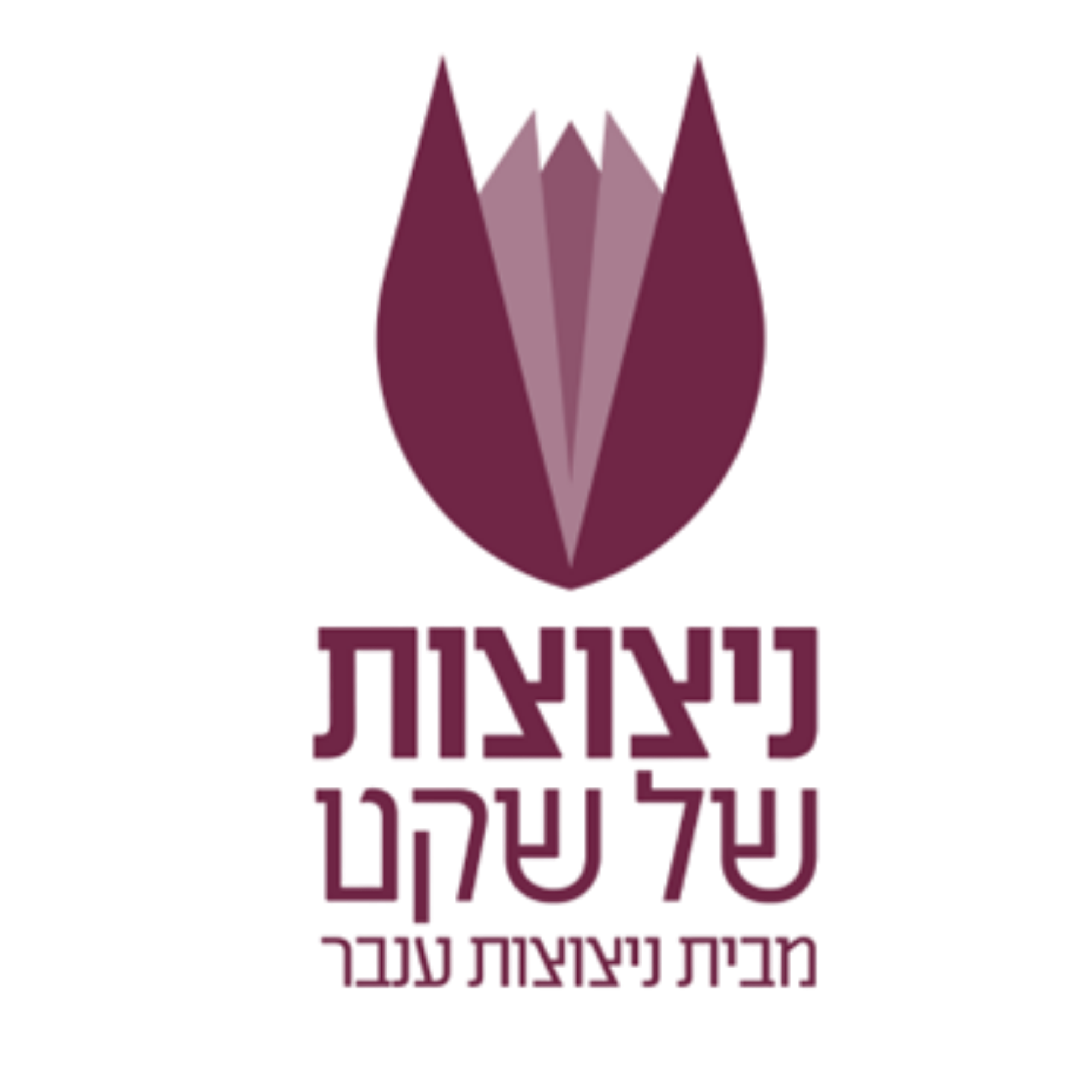 עמותת "ניצוצות ענבר"
